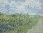 Vincent Van Gogh Green Wheat Fields (nn04) china oil painting artist